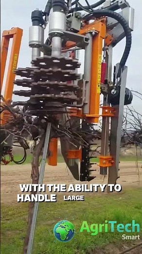 Vineyard Pruning Machines: Efficiency in Grape Production
