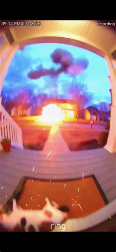 Cat gets caught with a rocket launcher and shoots it causing big trouble ⚠️ Fake situation ⚠️