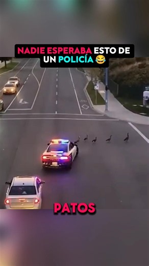No one expected this from a cop.😂