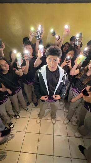 Exploring Sharks: From Baby to Basking