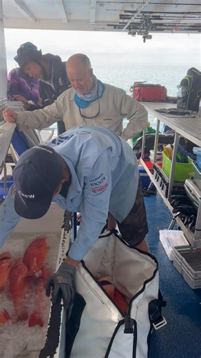 Handing over our catches of the day. What a day that was! They go into an ice slurry to keep them fresh. The fish are filleted at the end of every day and cryovaced and frozen. At the end of the trip everybody gets a box to take home. How good is that!🎣👍 Big Cat Reality Fishing Charters #escapefishingwithet #fishingadventure #fishing #fishingtrip #fishinglife | Andrew Ettingshausen - Escape Fishing with ET
