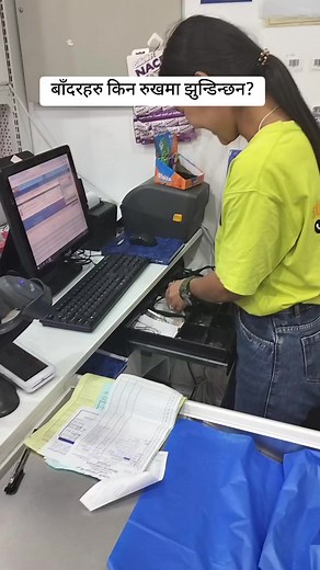 ‏why the monkeys are hanging on the tree?