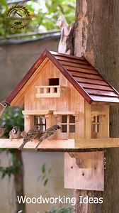 Transform your garden into a bird paradise! 🌳✨ Ever wondered how to attract more birds to your home? Here are some easy-to-follow techniques for building the perfect birdhouse. Safe, cozy, and beautiful! Share this with a fellow nature lover! ❤️ #SaveTheBirds #NaturePhotography #DIYBirdHouse #GreenLiving | Woodworking Ideas