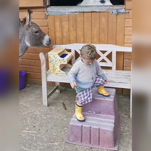 535K views · 3.7K reactions | The best way to train any animal to fit...