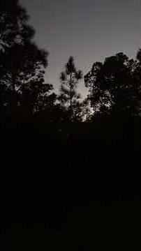 Eastern Whippoorwill Singing