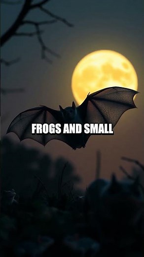 The Unseen Life of the Ghost Bat: Australia's Nighttime Predator