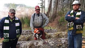 23K views · 477 reactions | In search of the perfect tree for our...