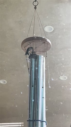 Little mama is doing such a good job they’re getting so much bigger | Facebook