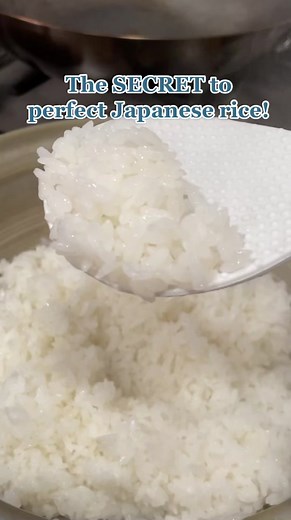 Donabe Cooking: Mastering the Art of Japanese Rice