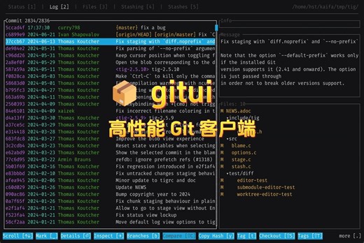 📦 gitui: 高性能 Git 客户端