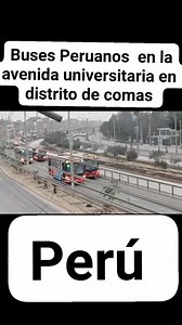 Buses Peruanos en la avenida universitaria en el distrito de comas #peru | ESTO SOLO PASA EN EL PERÚ