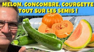 Semer Melon, Concombre, Courgette et Potiron au Potager