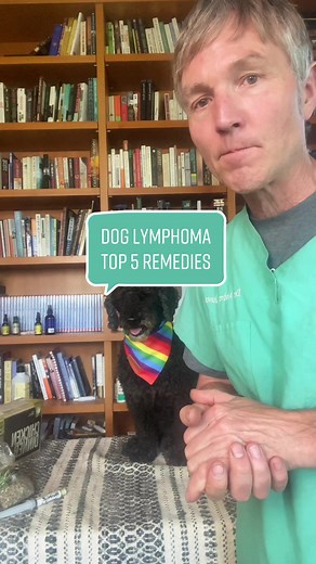 Top 5 Alternative Treatments for Dog Lymphoma