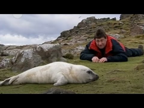 Alan Titchmarsh, British Isles: A Natural History Part 1 - Three Billion Years in the Making