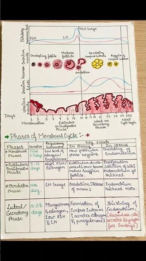 ​Title: The Wait is OVER! 📚 Human Reproduction Class 12 Hand Written Notes | Full Chapter 🩺 .