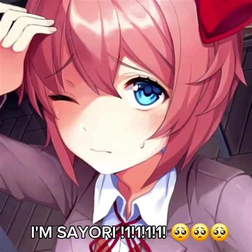 Exciting Update: I'm Back After My Break!