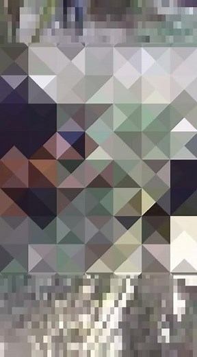 生きたメキシコ #shorts