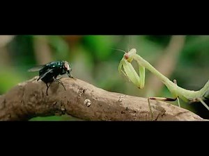 The Experiment (2010) Opening Scene