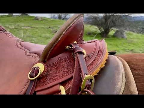 A McCall saddle, custom-made to do endurance, on my mare Fantazia
