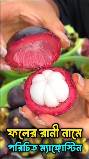 Mangosteen is known as the queen of fruits 😱 #Mangosteen #uniquefruit #facts