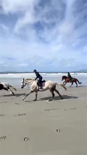 Bespoke Equestrian Ireland on Instagram: "Life with 185 horses ☘️🐎 Here’s how it all started⬆️ If you want to see how we changed our families farm, into a stables which opens up Ireland’s North coast to the world, then give us a follow ☘️🐎 #equestrianvacation #horseridingireland #horsebackvacation #horses #discovernorthernireland #irishvacation #horsebackholiday"