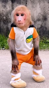 Monkey Bibi Explores Countryside Life at Grandma’s House! | Family BiBi