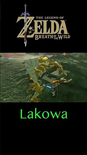 How to keep Moblins from hitting you #zeldabreathofthewildfr #zelda #zeldabotw #botw #botwshorts