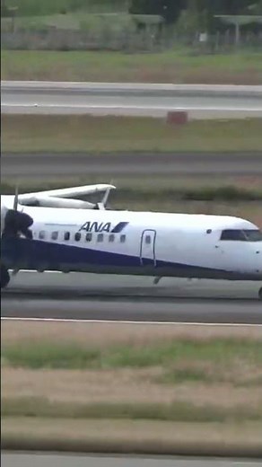 伊丹空港を離陸するANAプロペラ機 #shorts #伊丹空港 #プロペラ機 #飛行機