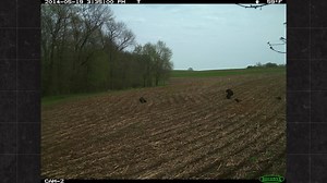 2.4K views · 25 reactions | Solar Adaptive Scheduling, in the Hyperfire 2 series cameras, is one of the most underrated scouting tools for monitoring wildlife activity at dawn and dusk. This Time Lapse schedule automatically adjusts to the ever-changing sunrise and sunset times, allowing you to scan food sources (and more) at peak times, while still capturing motion triggers... Check it out! | RECONYX | Facebook