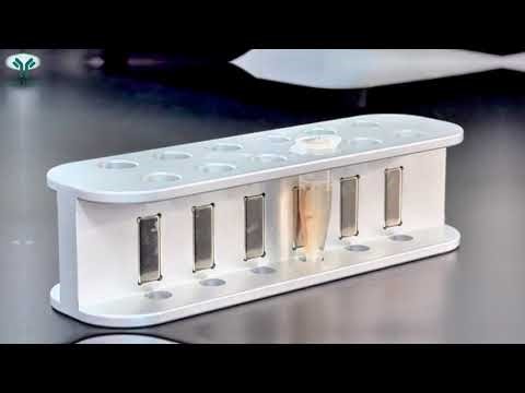 🎬High-Affinity Binder Screening by Alpha Lifetech