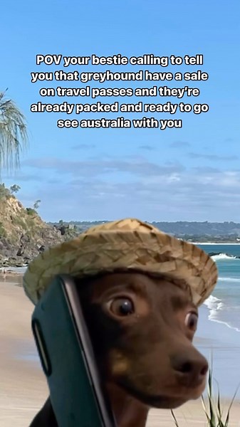 Send to your bestie as a sign to FIINALLY book the trip!! 🗺️ Get $100 off 90-day Whimit Travel Passes* with promo code OFF100 🏝️ That works out to be less than $7 a day!! Book now at the link in our bio 🚌 *T&Cs apply, offer ends 7:59am AEST Monday 22/4/24 | Greyhound Australia