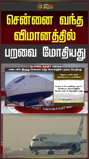 Bird Strikes Plane Arriving in Chennai | Flight Incident