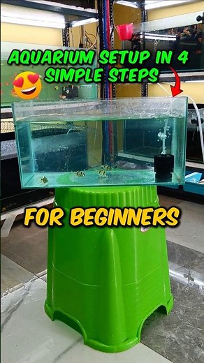 Aquarium setup in 4 simple Steps For beginners