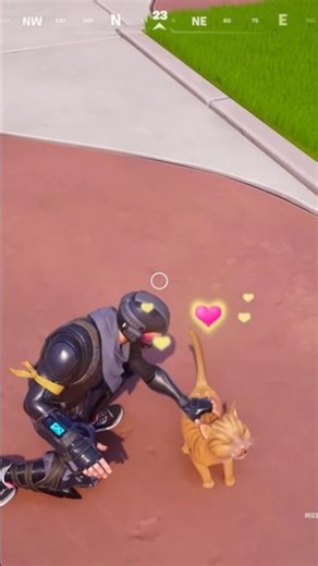 Fortnite Climbing w/ Cat