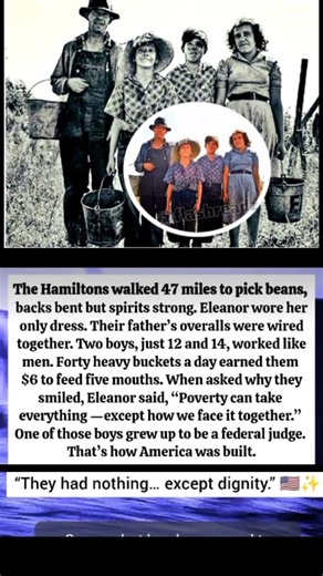 The Hamilton family walked 47 miles to work, #viralstory