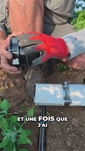 Irrigation : installation facile et rapide ! ⚡️