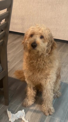 Odette (@odetteptx)’s videos with original sound - Odette