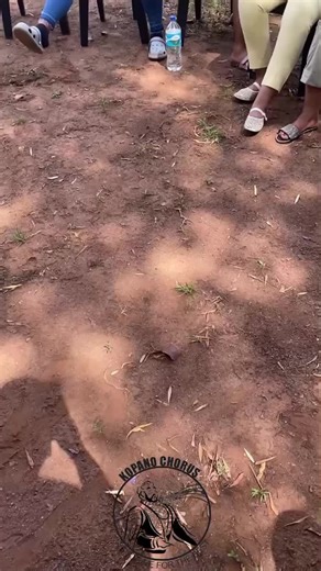 Exploring Wordplay with the 'Tion' Squad