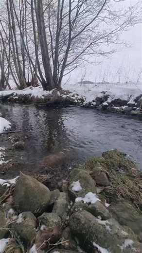 Behind the scenes: Winter river ASMR 🎥 #wilderness #scandinavia