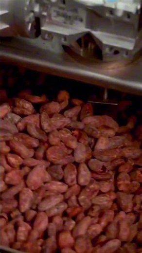 How Chocolate Is Made 🍫 Chocolate Manufacturing Process😲😲