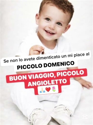 Il piccolo Domenico❤️ #love #baby #giustiziaperdomenico #shorts