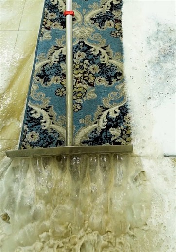 Satisfying Carpet Cleaning Techniques for Extreme Dirt