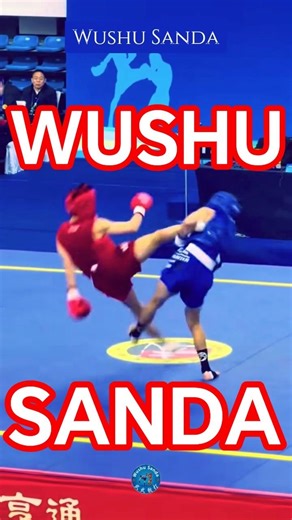 WUSHU SANDA FIGHT