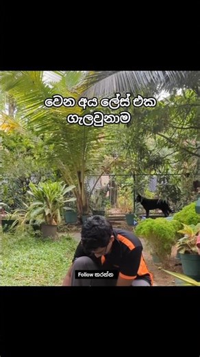 සිරාවට 😂 #goviral #trending #audio #shortvideo