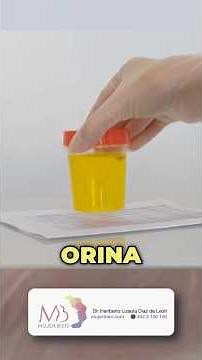 Todo lo que querías (y necesitas) saber sobre el Examen General de Orina. #saludfemenina