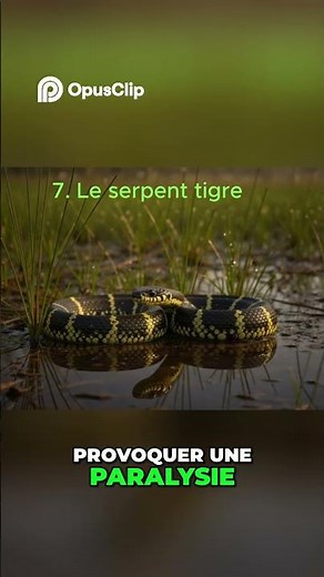 Deadly Snakes: Viper, Tiger Snake, Fer-de-Lance #ants #fascinatingnature #animals #nature