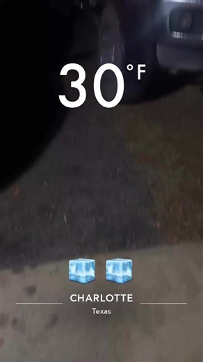 This winter storm is to much here in South Texas 🤦🏽‍♂️💀😂 #winter #texas #storm #fypシ #fypシ゚viral