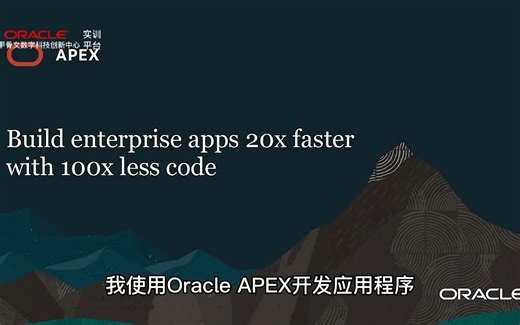 Oracle APEX介绍
