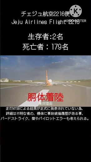 チェジュ航空2216便壁衝突事故
