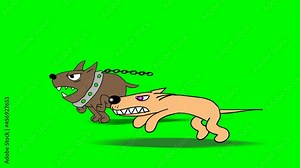 Two Dogs Running 2 dogs running on a green background.2D animation.HD 1080.Includes alpha matte.Seamless loop.